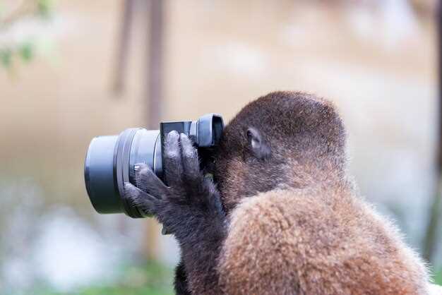 How to Choose the Best Camera for Wildlife Photography