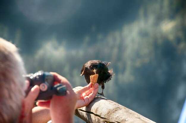 How to Choose the Best Camera for Wildlife Photography
