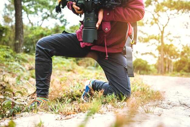 How to Choose the Best Camera for Wildlife Photography